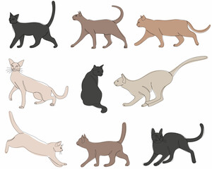 cat set continuous line drawing vector, isolated