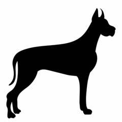 dog on white background black silhouette