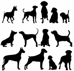 dog set black silhouette vector, isolated