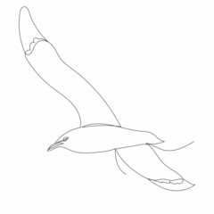 seagull drawing one continuous line vector, isolated