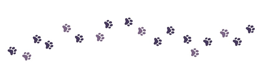 Vector illustration of path of animal paw print on white color background. Flat style design of seamless pattern with cat paw