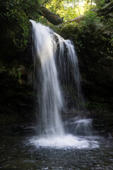 Fototapeta na wymiar Grotto Falls in the Smoky Mountains, an elegant waterfall