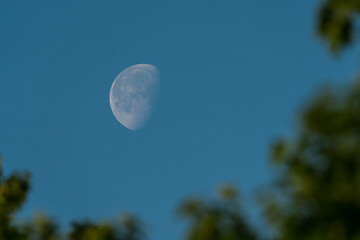 Pale crescent moon in the blue morning sky.