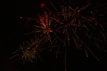 Obraz premium firework on the black sky.