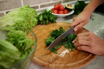Cooking. Food and concept of veganism, vigor and healthy eating - close up of female hand cutting vegetables and spinach leaves for salad