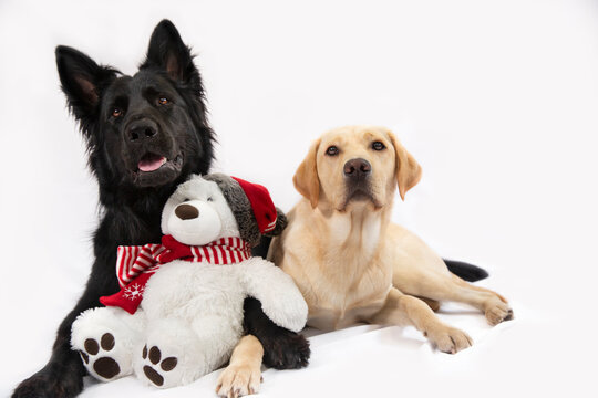 Is kerstmis al begonnen?