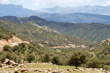 A picturesque view of a valley in Khorramabad, Iran, with lush greenery and mountains in the background, under a clear sky. © Jeroen Kleiberg
