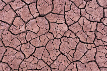 Cracked desert soil in Kyzylkum, Uzbekistan, showing the effects of drought and arid conditions, with a pattern of dry, cracked earth.