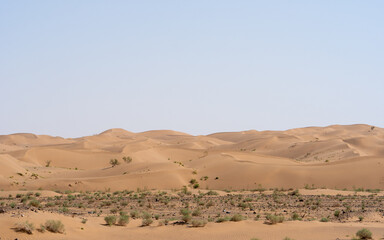 Rolling sand dunes of the Iranian desert with sparse vegetation and soft contours © Jeroen Kleiberg