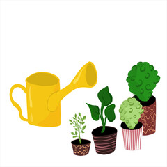 Home plants with watering can