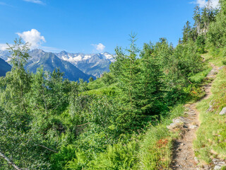 Fototapeta na wymiar Zillertal - Wanderung zur Gamshütte