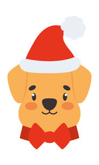 dog with christmas hat