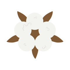 cotton flower icon