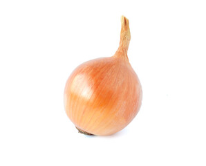 Fresh bulbs of onion isolated on white background