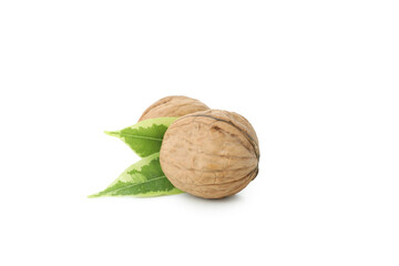 Walnuts isolated on white background, close up