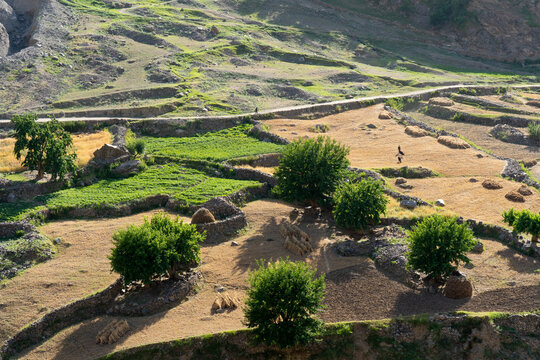 Terraced fields nestled in the valleys of the Pamir mountains showcase sustainable farming practices in Tajikistan.
