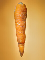 Floating carrot on orange background