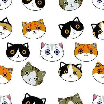 pattern with cats !!