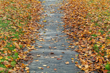 ELGIN, MORAY, SCOTLAND - 15 NOVEMBER 2021: this is a scene with Autumn Colours in Cooper Park,...