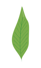 green leaf icon