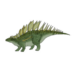 Realistic illustration of a dinosaur of the kentrosaurus species