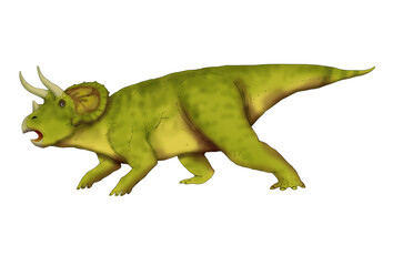 Realistic illustration of a dinosaur of the triceratops species