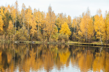 beautiful lake and yellowed autumn forest landscape nature travel