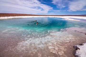 nadando en una de las lagunas escondidas de Baltinache, San Pedro de Atacama. Salar de Atacama. Chile.