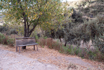 bench in the way