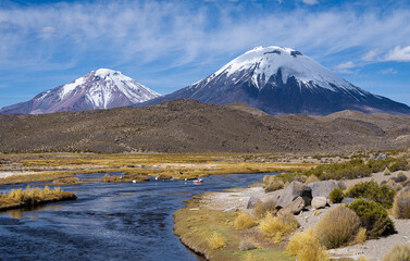 Entorno natural de los Nevados de Payachatas. Altiplano Chileno. Region de Arica y Parinacota. - obrazy, fototapety, plakaty