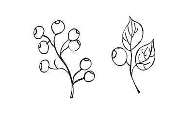Hand-drawn with a liner, berries and plant branches.