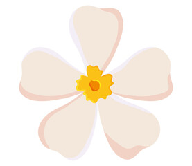 jasmine flower icon