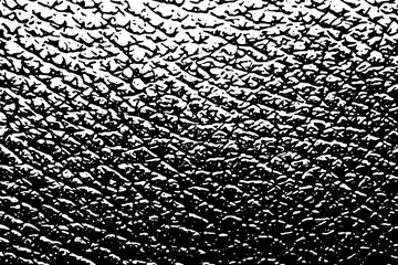Genuine animal skin vector texture close-up, black and white textured effect background