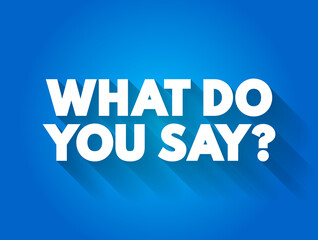 What Do You Say question text quote, concept background