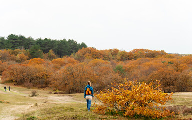 A person walking through a forest with vibrant orange autumn leaves, capturing the essence of fall...
