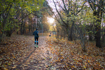 Fototapeta premium A walk in the forest in autumn