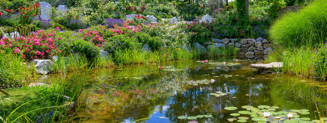 ornamental garden with lily pond and colorful flourishing shrubs