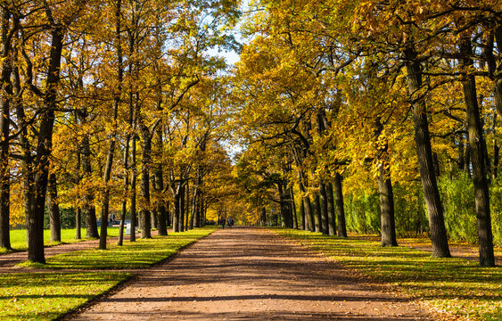Catherine Park in autumn, Pushkin (Tsarskoye Selo), near St. Petersburg