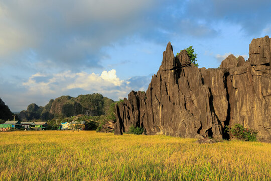 Eroded limestone rock and Salenrang village in karst region, Rammang-Rammang, Maros, South Sulawesi, Indonesia, Southeast Asia, Asia