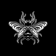 Vector insect hand drawing style illustration.