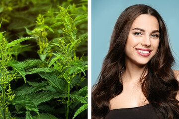 Fototapeta premium Natural hair care. Beautiful young woman and green stinging nettles, collage