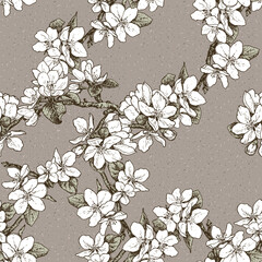 Spring blossom branch, seamless pattern,  hand drawn illustration