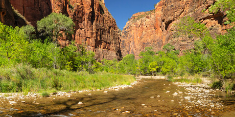 Riverside Walk, Temple of Sinawava, Zion National Park, Colorado Plateau, Utah