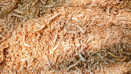 Sawdust pile of the hardwood, sawdust background