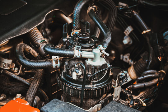 Diesel Fuel Filter Box And Rubber Tube Of The Diesel Engine System In The Car