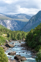 Verdant forest nestled between towering mountains in Norway, showcasing natural beauty. 