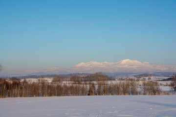 夕映えの雪山と青空　大雪山 
