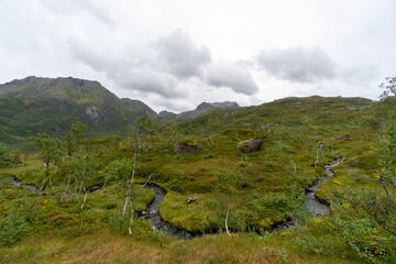 Fototapeta premium Verdant mountains and rocky terrain in the Lofoten Islands, Norway.
