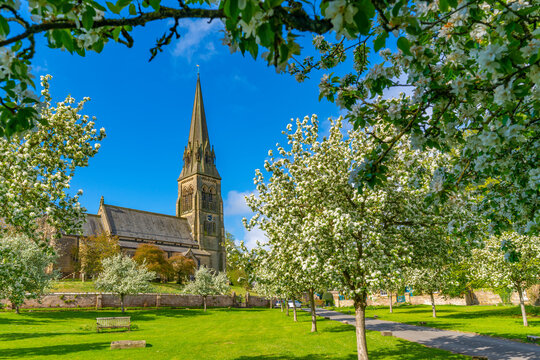 View of St. Peter's Church and spring blossom, Edensor Village, Chatsworth Park, Bakewell, Derbyshire