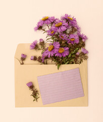 Bouquet of purple flowers in an envelope. Greeting card.